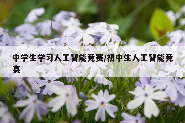 中学生学习人工智能竞赛/初中生人工智能竞赛