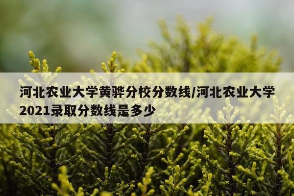 河北农业大学黄骅分校分数线/河北农业大学2021录取分数线是多少
