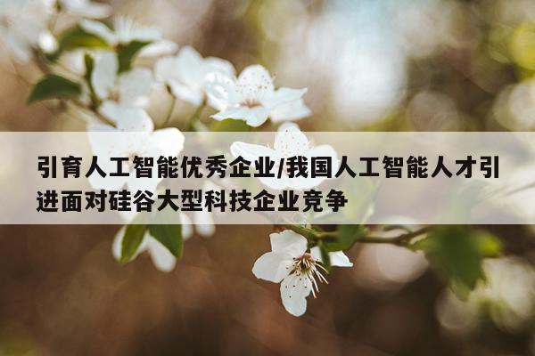 引育人工智能优秀企业/我国人工智能人才引进面对硅谷大型科技企业竞争
