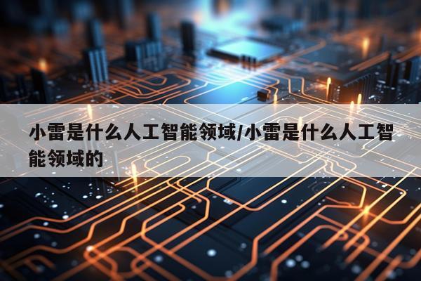 小雷是什么人工智能领域/小雷是什么人工智能领域的