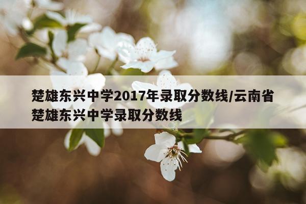 楚雄东兴中学2017年录取分数线/云南省楚雄东兴中学录取分数线