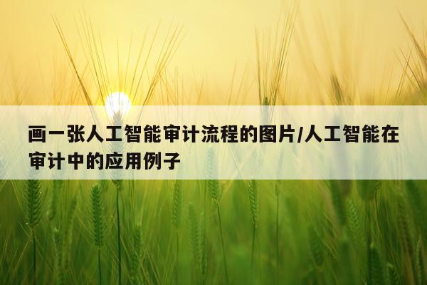 画一张人工智能审计流程的图片/人工智能在审计中的应用例子