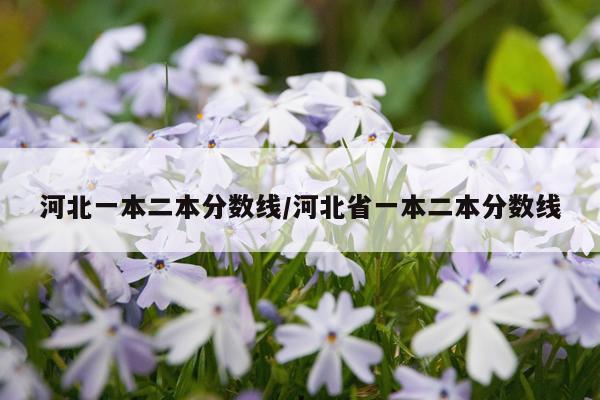 河北一本二本分数线/河北省一本二本分数线