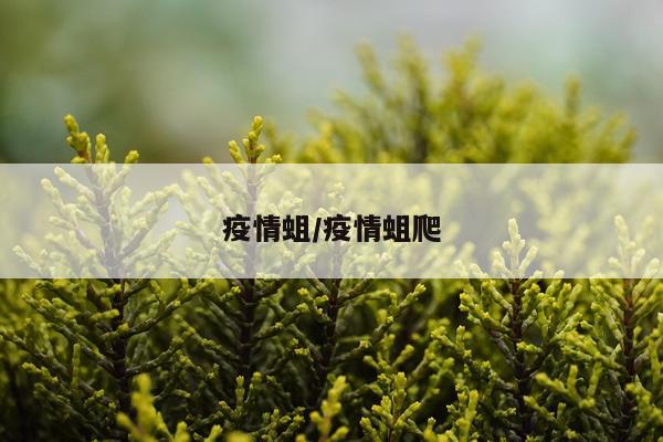 疫情蛆/疫情蛆爬