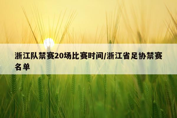 浙江队禁赛20场比赛时间/浙江省足协禁赛名单