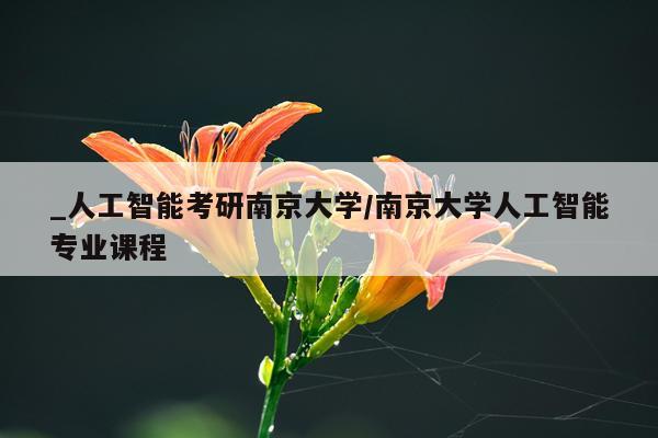 _人工智能考研南京大学/南京大学人工智能专业课程