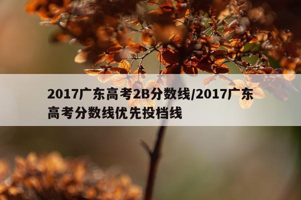 2017广东高考2B分数线/2017广东高考分数线优先投档线