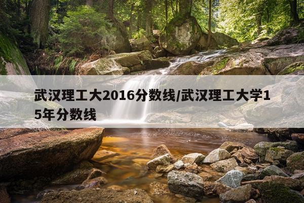 武汉理工大2016分数线/武汉理工大学15年分数线