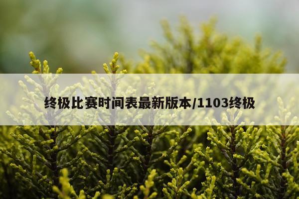终极比赛时间表最新版本/1103终极