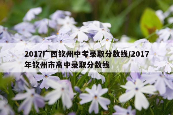 2017广西钦州中考录取分数线/2017年钦州市高中录取分数线