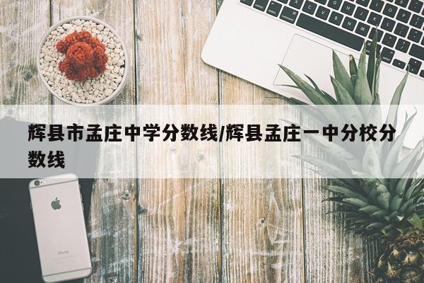辉县市孟庄中学分数线/辉县孟庄一中分校分数线