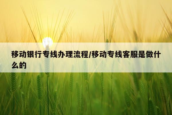 移动银行专线办理流程/移动专线客服是做什么的