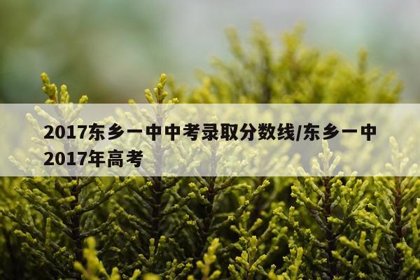2017东乡一中中考录取分数线/东乡一中2017年高考