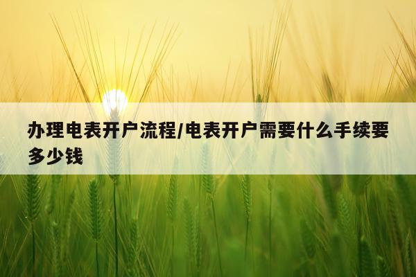 办理电表开户流程/电表开户需要什么手续要多少钱