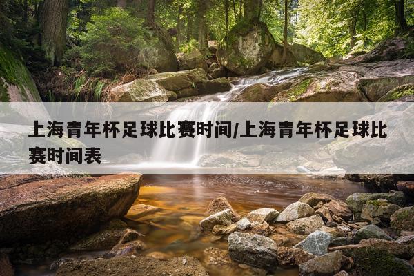 上海青年杯足球比赛时间/上海青年杯足球比赛时间表