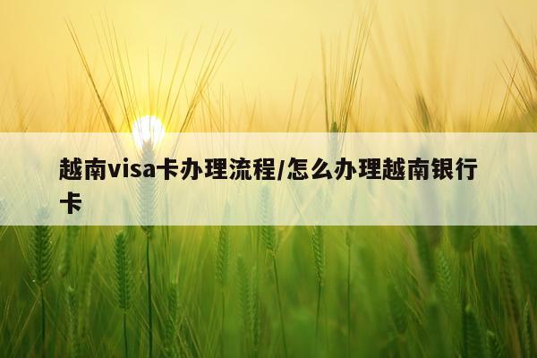 越南visa卡办理流程/怎么办理越南银行卡