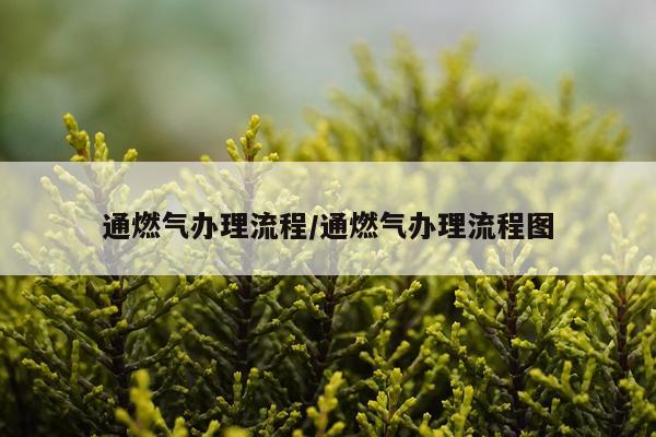 通燃气办理流程/通燃气办理流程图
