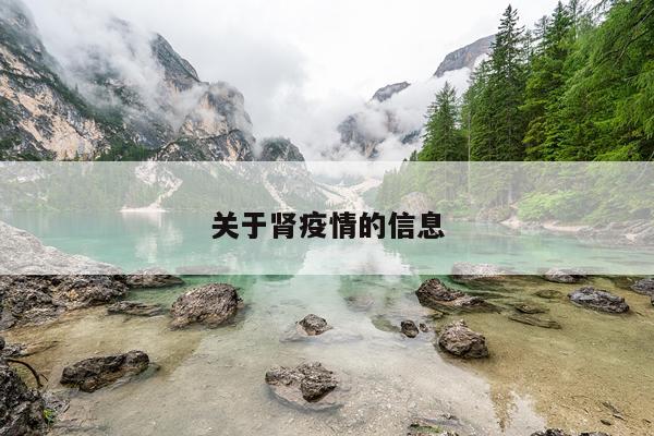 关于肾疫情的信息