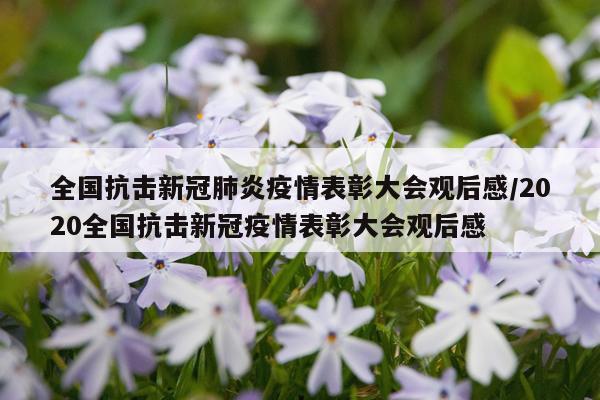 全国抗击新冠肺炎疫情表彰大会观后感/2020全国抗击新冠疫情表彰大会观后感