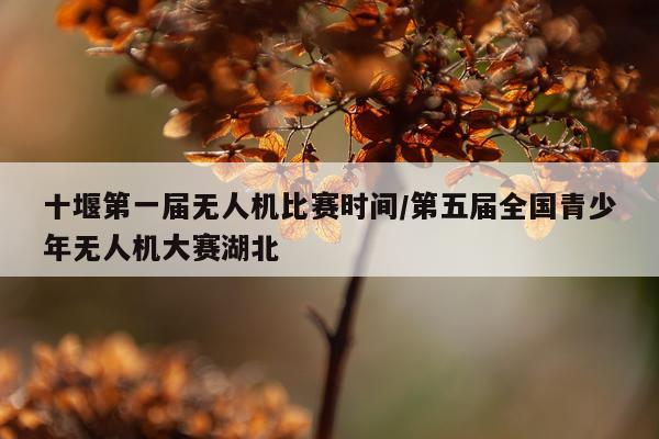 十堰第一届无人机比赛时间/第五届全国青少年无人机大赛湖北