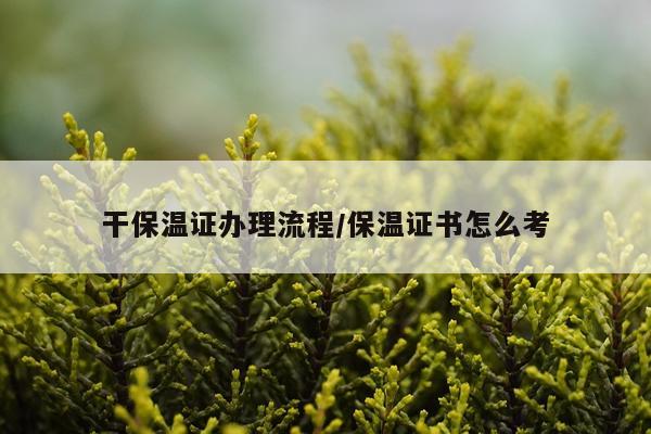 干保温证办理流程/保温证书怎么考