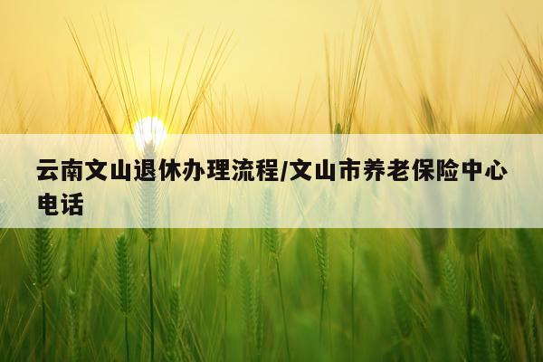 云南文山退休办理流程/文山市养老保险中心电话
