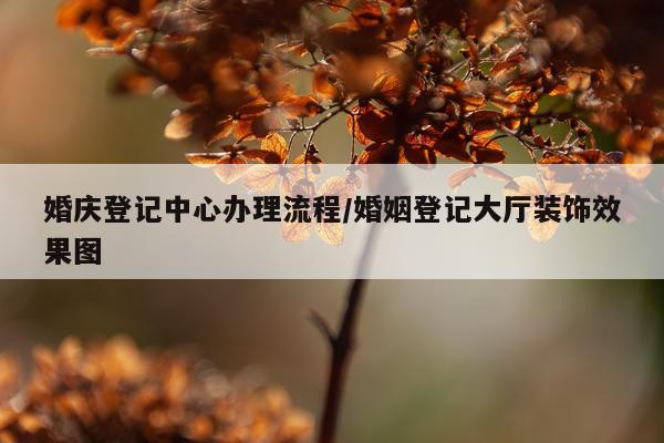 婚庆登记中心办理流程/婚姻登记大厅装饰效果图