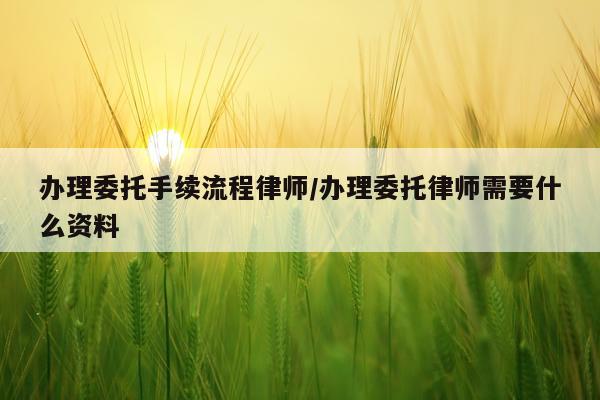 办理委托手续流程律师/办理委托律师需要什么资料