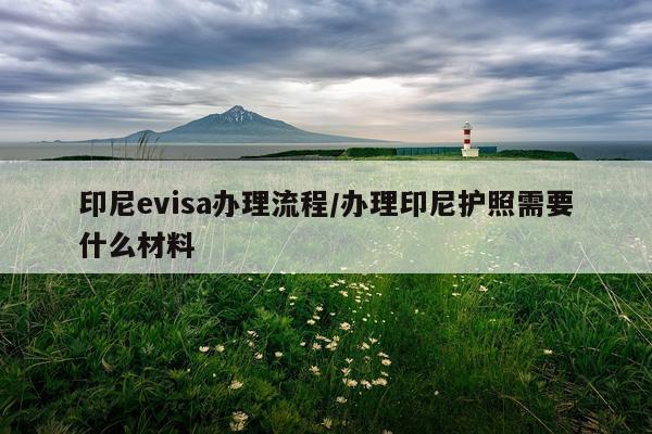 印尼evisa办理流程/办理印尼护照需要什么材料