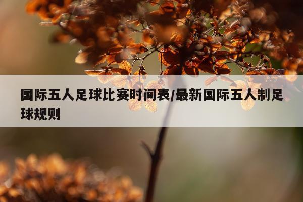 国际五人足球比赛时间表/最新国际五人制足球规则
