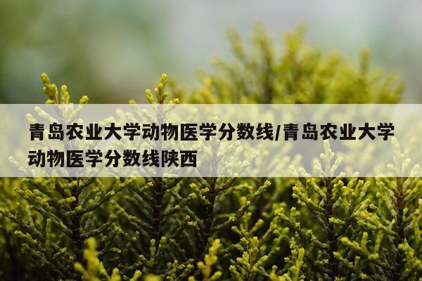 青岛农业大学动物医学分数线/青岛农业大学动物医学分数线陕西