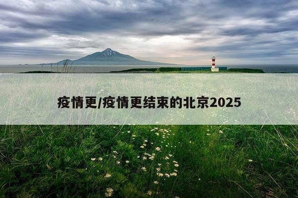 疫情更/疫情更结束的北京2025