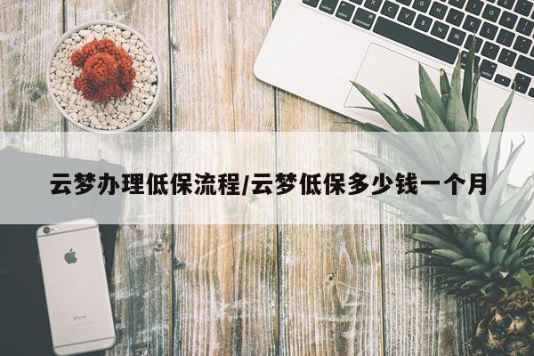 云梦办理低保流程/云梦低保多少钱一个月