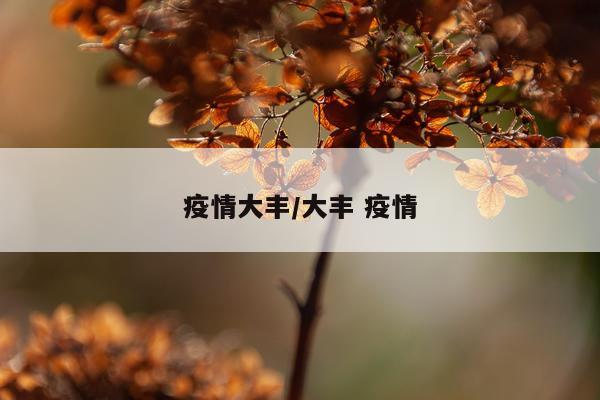 疫情大丰/大丰 疫情