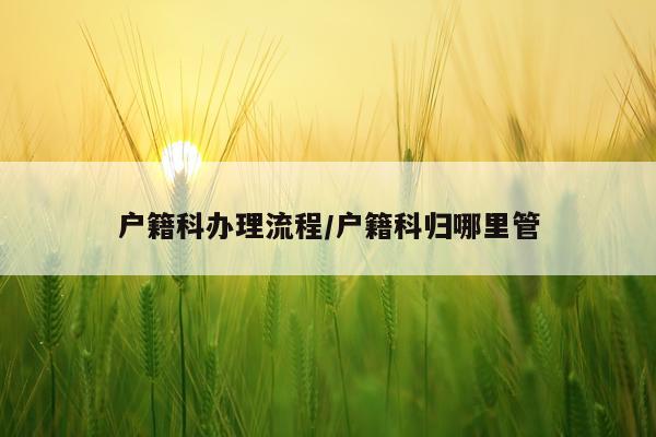 户籍科办理流程/户籍科归哪里管