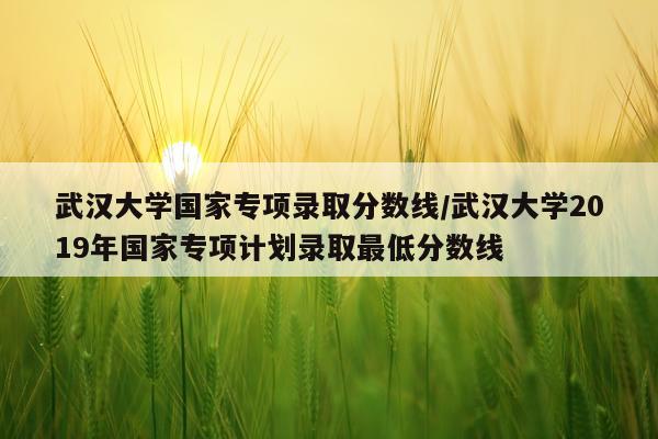 武汉大学国家专项录取分数线/武汉大学2019年国家专项计划录取最低分数线
