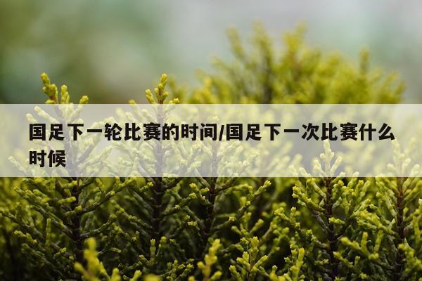 国足下一轮比赛的时间/国足下一次比赛什么时候