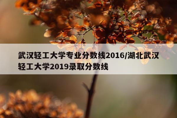 武汉轻工大学专业分数线2016/湖北武汉轻工大学2019录取分数线