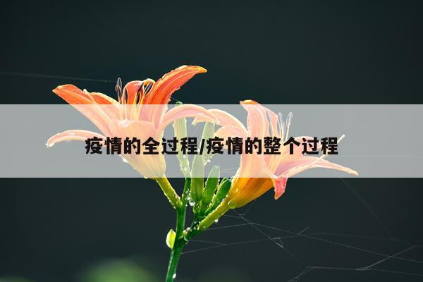 疫情的全过程/疫情的整个过程