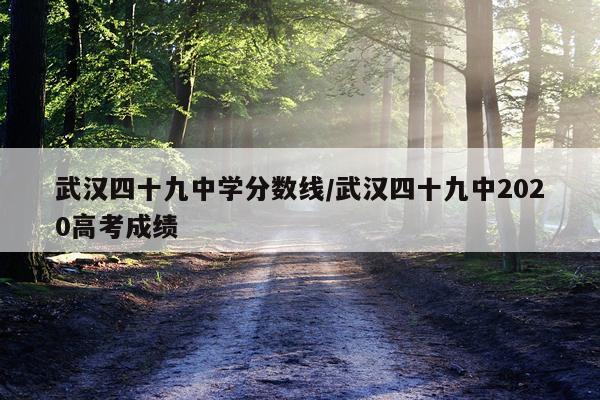 武汉四十九中学分数线/武汉四十九中2020高考成绩