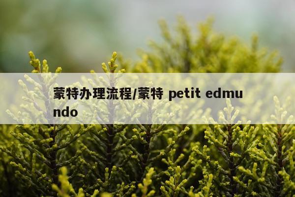 蒙特办理流程/蒙特 petit edmundo