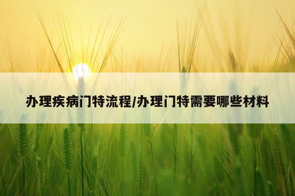办理疾病门特流程/办理门特需要哪些材料