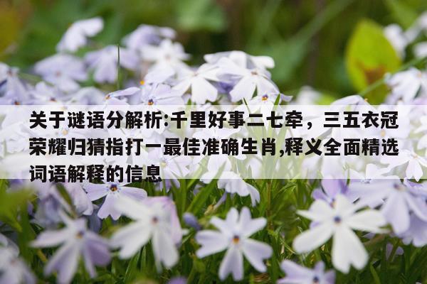 关于谜语分解析:千里好事二七牵，三五衣冠荣耀归猜指打一最佳准确生肖,释义全面精选词语解释的信息