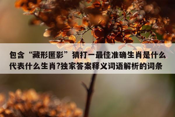 包含“藏形匿影”猜打一最佳准确生肖是什么代表什么生肖?独家答案释义词语解析的词条