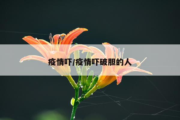 疫情吓/疫情吓破胆的人