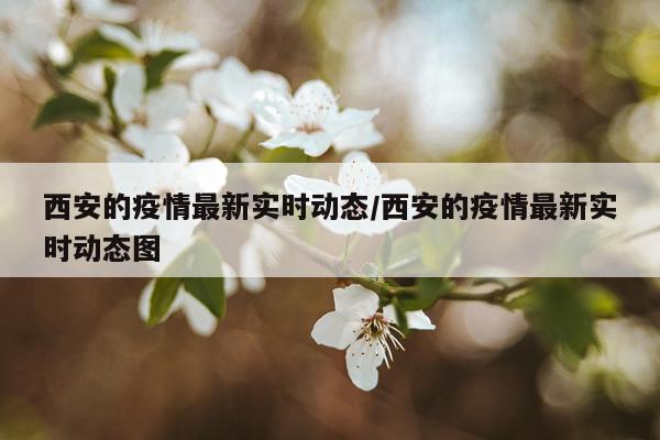 西安的疫情最新实时动态/西安的疫情最新实时动态图