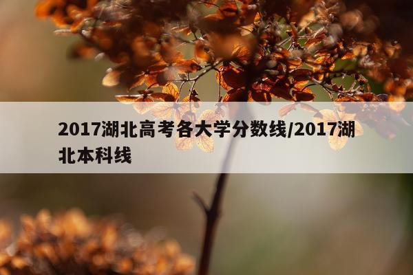 2017湖北高考各大学分数线/2017湖北本科线