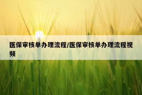 医保审核单办理流程/医保审核单办理流程视频