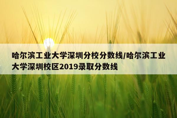 哈尔滨工业大学深圳分校分数线/哈尔滨工业大学深圳校区2019录取分数线