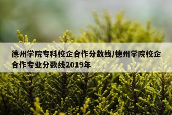 德州学院专科校企合作分数线/德州学院校企合作专业分数线2019年